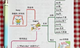 三年级英语上册英语句子书写注意事项